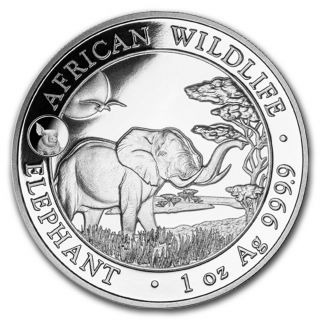 2019 Somalia 1 Oz Silver Elephant Bu (pig Privy) - Sku 179106