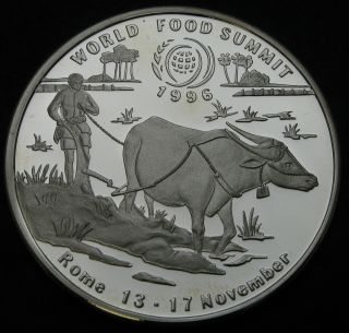 Lao 50 Kip 1996 Proof - Silver - World Food Summit 1996 In Rome - 1193