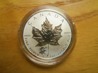 2017 Canadian Maple Leaf Coin Reverse Proof Moose Privy