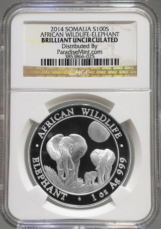 2014 Ngc Somalia Brilliant Uncirculated 999 Silver S100s Elephant Graded Coin