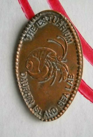 The Estuarium Elongated Penny Dauphin Island Usa Cent Hermit Crab Souvenir Coin