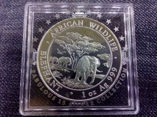 Somalia African Elephant 100 Shillings.  999 Silver Coin 2012 Pp
