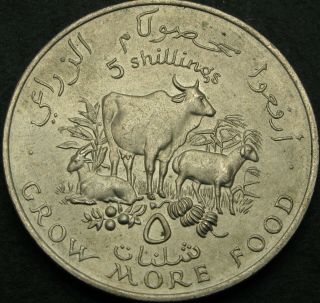 Somalia 5 Shillings 1970 - Fao - Aunc - 52 ¤