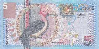 5 Gulden Unc Banknote From Suriname 2000 Pick - 146