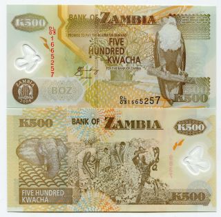 Zambia 500 Kwacha Uncirculated Banknote 2008 Polymer Money