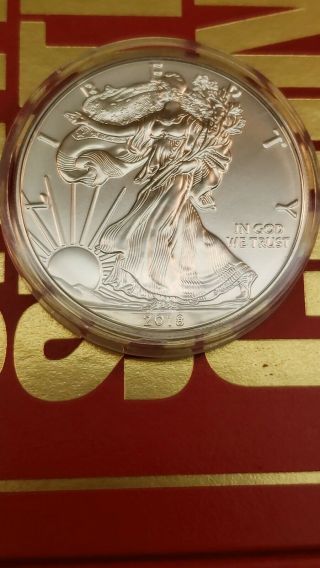 2018 1 Oz Silver American Eagle Coin Bu Out Of Direct Tube Into Capsules