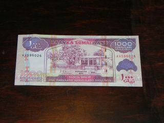 Somaliland 1000 Shillings Banknote 2011 P - 20 Xf - Au Jccug 190896