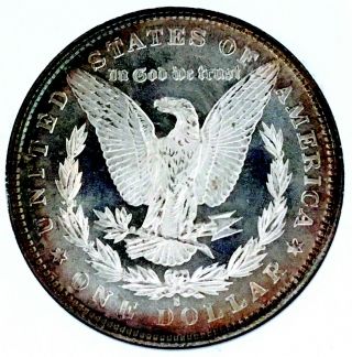 1881 S Morgan Dollar Gem Bu,  One Of A Kind Mega Toned Dmpl Rev Nr 08037