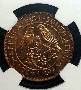 1954 South Africa Quarter Penny 1/4p Proof Ngc Pr65rb Pop20 Rare 3,  150 Minted