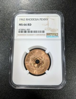 1962 Ms66 Rd Rhodesia Penny Ngc Unc Km 2 Elephant Hole Coin Zimbabwe