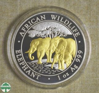 2013 Somalia 100 Shillings W/ Gold Gilt - Elephant - 1 Oz Silver - Fineness: 999