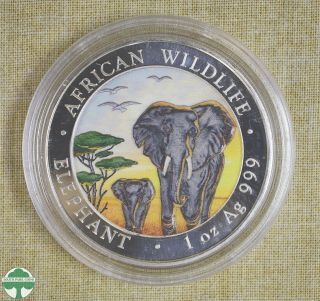 2015 Somalia 100 Shillings - Elephant - Colorized - Fineness: 999 - 1 Oz Silver