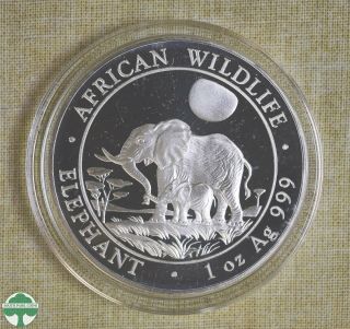 2011 Somalia 100 Shillings Silver Coin - Elephant - Fineness: 999 - 1 Oz Silver