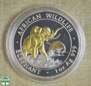 2009 Somalia 100 Shillings Silver Coin W/ Gold Gilt - Elephant - 1 Oz 999 Silver