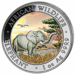 2019 Elephant 1 Oz Silver Color Coin Somalia