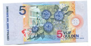 2000 Suriname 5 Gulden Banknote 2