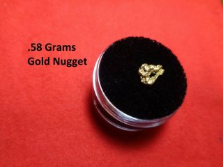 Gold Nugget From The American River.  58 Grams