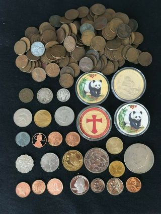 One Pound Wheat Cents Plus Silver,  Proofs,  Pandas,  Tropical,  Indian Nickel,  More
