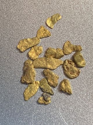 Lovely Group 0.  507 Gram Natural Gold Nugget Collector Specimen Colorado