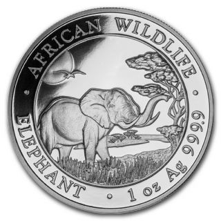 2019 Somalia 1 Oz Silver Elephant Bu - Sku 170428