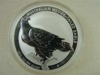 2016 Australian Wedge - Tailed Eagle 1 Oz.  999 Silver 1 Dollar Coin