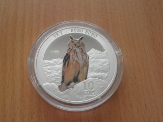 Kyrgyzstan 10 Som 2014 Eurasian Eagle Owl Bubo Bubo Silver Proof