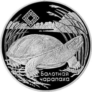 Belarus Weissrussland 1 Rouble Cuni Turtle Schildkröte Tortue Tortuga 2010