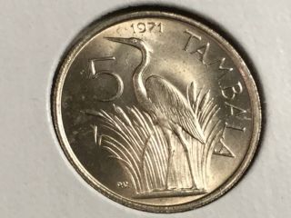 Malawi 1971 5 Tambala Coin Bu