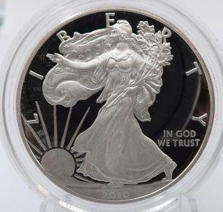 2010 W Proof American Silver Eagle 999 1 Oz One Dollar S$1 Coin M27