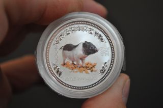 2007 Australian 1/2 Oz Silver Lunar Year Of The Pig Colorized From Roll