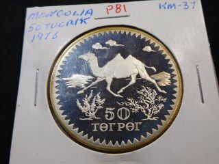 R81 China Mongolia 1976 Silver 50 Tugrik Proof
