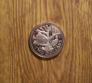 Barbados 2 Dollar 1973 Proof Coin (121)