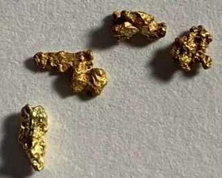 Four Gold Nugget From Mine In Colorado Gold Picker Natural Gold As Found