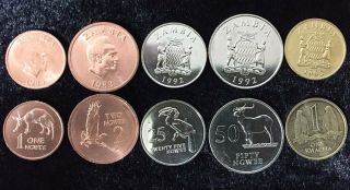 Zambia Set 5 Coins 1 2 25 50 Ngwee 1 Kwacha 1983 - 1992 Unc