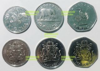 Malawi Set 3 Coins 1 Eagle 5 Ciconia 10 Elephant Kwacha 2012 Wild Animal Unc