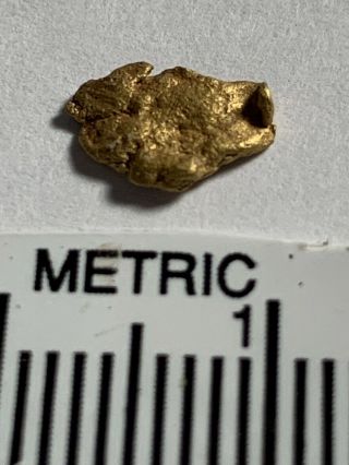 Large Gold Nugget From Mine In Colorado