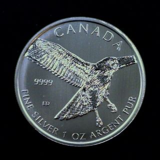 2015 Canada Silver Birds Of Prey Red Tailed Hawk $5 1 Oz.  999 Fine 003