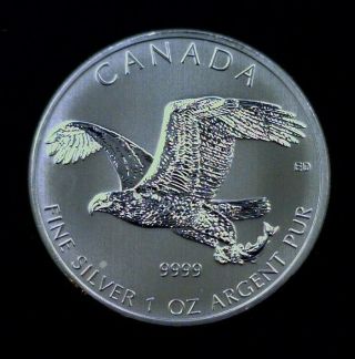 2014 Canada Silver Birds Of Prey Bald Eagle $5 1 Oz.  999 Fine 003