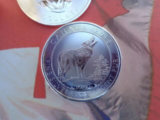 2015 Canadian 3/4 Oz Grey Wolf Coin Bu.  9999 Fine Silver
