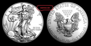 2013 Silver American Eagle 1 Oz Pure Fine.  999 Silver Bullion Coin [bu - Unc]