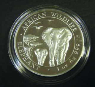 2015 Somalian African Elephant 1oz Silver Bullion Coin 100 Schillings