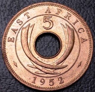 1952 East Africa 5 Cents Coin - Gem Bu Ms - 64 Combined S/h