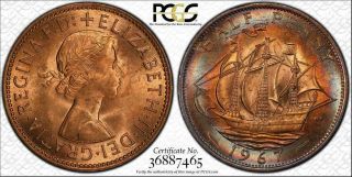 1967 Great Britain Half Penny Pcgs Ms64rd Circle Toned Only 5 Graded Higher
