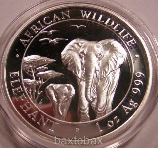 2015 Somali Wildlife African Elephant & Baby 1 Oz Silver Bu Minted In Germany