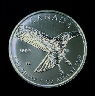 2015 Canada Silver Birds Of Prey Red Tailed Hawk $5 1 Oz.  999 Fine 001