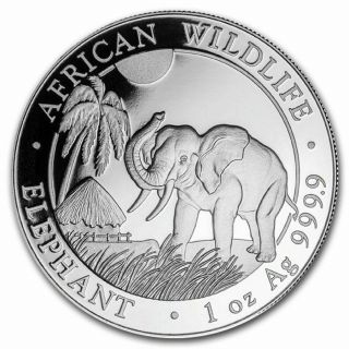 2017 1 Oz Somalia Silver Elephant Coin (bu) - Sku 0410