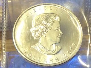 2017 1 Oz Silver $5 Elizabeth Ii Canadian Maple Leaf 9999 1 Oz.  Uncirculated.