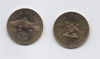 Uganda 200 Shillings 1995 Km 148 Uncirculated F.  A.  O.  Fao Fish Coin Low Mintage