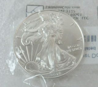 2018 American Eagle Walking Liberty 1 Oz.  Fine Silver.  999 Dollar Coin L