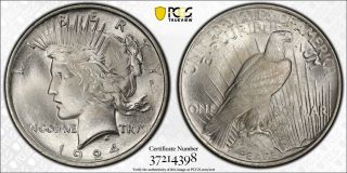 1924 P Peace Dollar - Pcgs Ms65